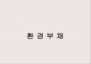 환경경영과 기업의 사회적 책임 (기업의 사회적 책임) 27페이지