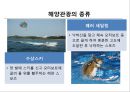 국내 해양관광의 이해 : 국내 해양관광 8페이지