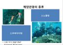 국내 해양관광의 이해 : 국내 해양관광 10페이지