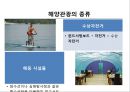 국내 해양관광의 이해 : 국내 해양관광 11페이지
