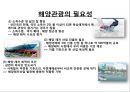 국내 해양관광의 이해 : 국내 해양관광 12페이지