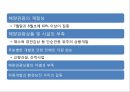 국내 해양관광의 이해 : 국내 해양관광 14페이지