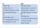 국내 해양관광의 이해 : 국내 해양관광 24페이지