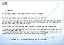 [비교행정] 해양 레저 산업의 활성화를 위한 미국과 경기도 정책 비교 분석 - 인프라 조성을 중심으로 - 14페이지