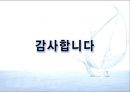 [비교행정] 해양 레저 산업의 활성화를 위한 미국과 경기도 정책 비교 분석 - 인프라 조성을 중심으로 - 21페이지