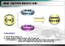 [현대사회와 기업경영] 돈의 흐름 23페이지