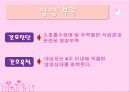 ‘위대한’간호계획 11페이지