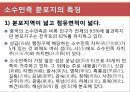 [현대중국의 이해] 소수민족 문제의 향후전망 10페이지