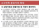 [현대중국의 이해] 소수민족 문제의 향후전망 13페이지