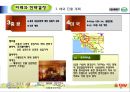 [호텔경영전략론] 크라제버거(Krazeburger) 51페이지