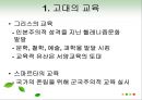 교육의 역사적 기초 27페이지