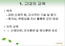 교육의 역사적 기초 28페이지