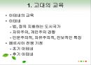교육의 역사적 기초 29페이지