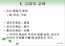 교육의 역사적 기초 33페이지