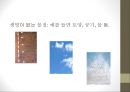 근대생물학의 탄생과 성장 [분류학, 해부학, 진화학, 유전학, 생태학, 생물지리학, 생화학, 생물리학] 24페이지