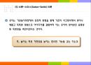 놀이이론 14페이지