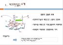 대구 우편집 중국 물류시스템 4페이지