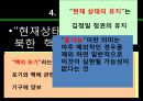 북한 핵무기의 폐기 가능성에 관한 연구 -과학적 접근방법으로- 8페이지