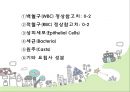 소변검사, 혈액검사, 흉부 X-ray 8페이지