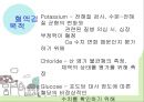 소변검사, 혈액검사, 흉부 X-ray 12페이지