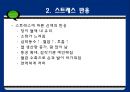 스트레스와 정신건강 - 스트레스의 개념적 이해 15페이지