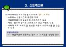 스트레스와 정신건강 - 스트레스의 개념적 이해 24페이지