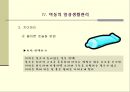 아동 간호학 31페이지