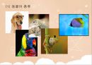아동 수 과학 교육  - 영유아 수 과학 교육의 내용- 과학적 탐구 - 26페이지