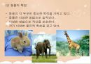 아동 수 과학 교육  - 영유아 수 과학 교육의 내용- 과학적 탐구 - 27페이지
