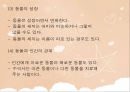 아동 수 과학 교육  - 영유아 수 과학 교육의 내용- 과학적 탐구 - 28페이지