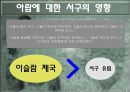 아랍에 대한 서구의 영향 4페이지