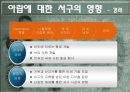 아랍에 대한 서구의 영향 9페이지