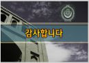 아랍에 대한 서구의 영향 22페이지