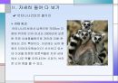 아프리카 선교 - 행복의 나라, 마다가스카르를 향하여 11페이지