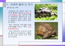 아프리카 선교 - 행복의 나라, 마다가스카르를 향하여 19페이지