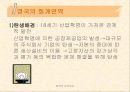 영국의 회계제도 8페이지
