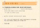 영국의 회계제도 19페이지