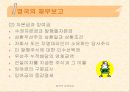 영국의 회계제도 23페이지