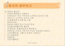 영국의 회계제도 24페이지
