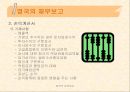 영국의 회계제도 26페이지