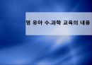 영 유아 수.과학 교육의 내용 1페이지