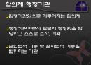 집행기관 - 보조기관과 소속 및 하부 행정기관을 중심으로 17페이지