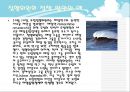 행정학 세미나 6페이지
