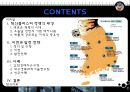 혁신클러스터의 소개와 발전 전략 - 국내사례를 중심으로 2페이지