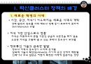 혁신클러스터의 소개와 발전 전략 - 국내사례를 중심으로 4페이지
