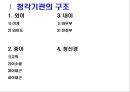 청각기관의 구조 및 장애발생 원인, 분류 3페이지