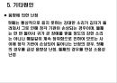 청각기관의 구조 및 장애발생 원인, 분류 35페이지