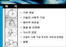 자전거의 변천과정에 따른 사회구성주의적 해석 2페이지