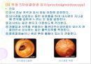 위장관계 진단 검사 23페이지