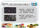 컬러 푸드 (Color Food) 12페이지